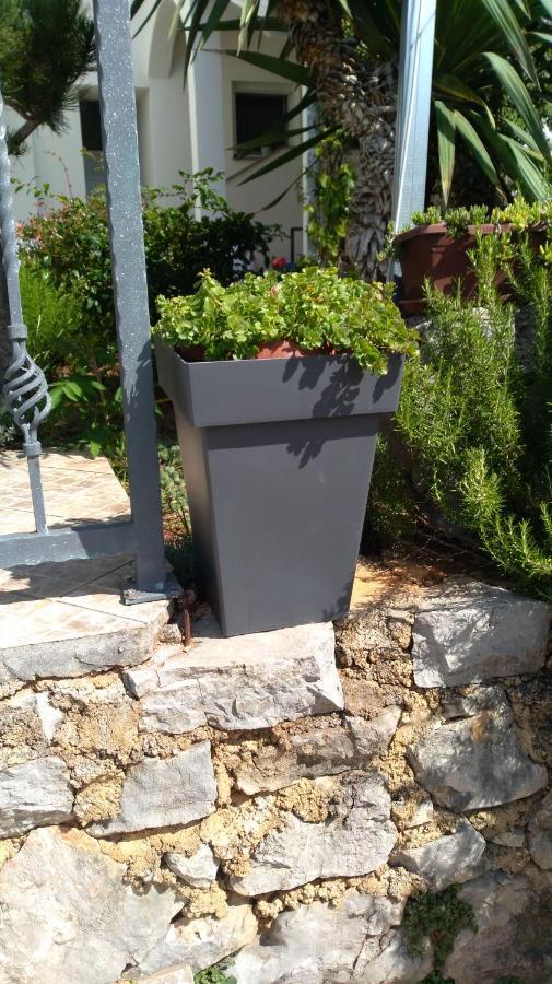 Apartmani Darko Kornic